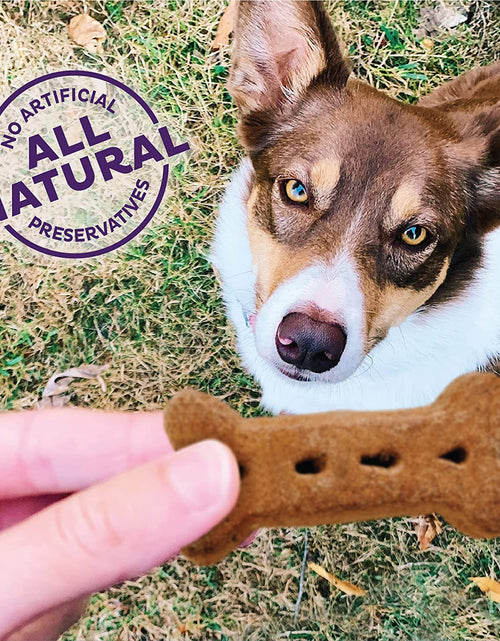 Load image into Gallery viewer, by Wellness Classic P-Nuttier Value Box Natural Dog Treats, Crunchy Oven-Baked Biscuits, Ideal for Training, Large Size, 6 Pound Box

