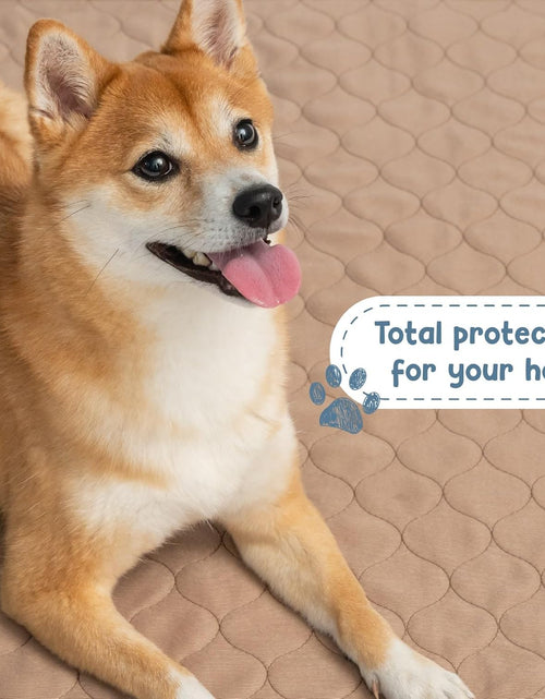 Load image into Gallery viewer, Washable Pee Pads for Dogs - Waterproof Training Pads for Dogs, Reusable &amp; Sanitary, Rounded Corners, Laminated, Lightweight, Durable, Pet Essentials for Training and Whelping, 47" X 47"

